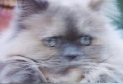 Dusty 1
